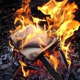 Пепелище невостребованных идей